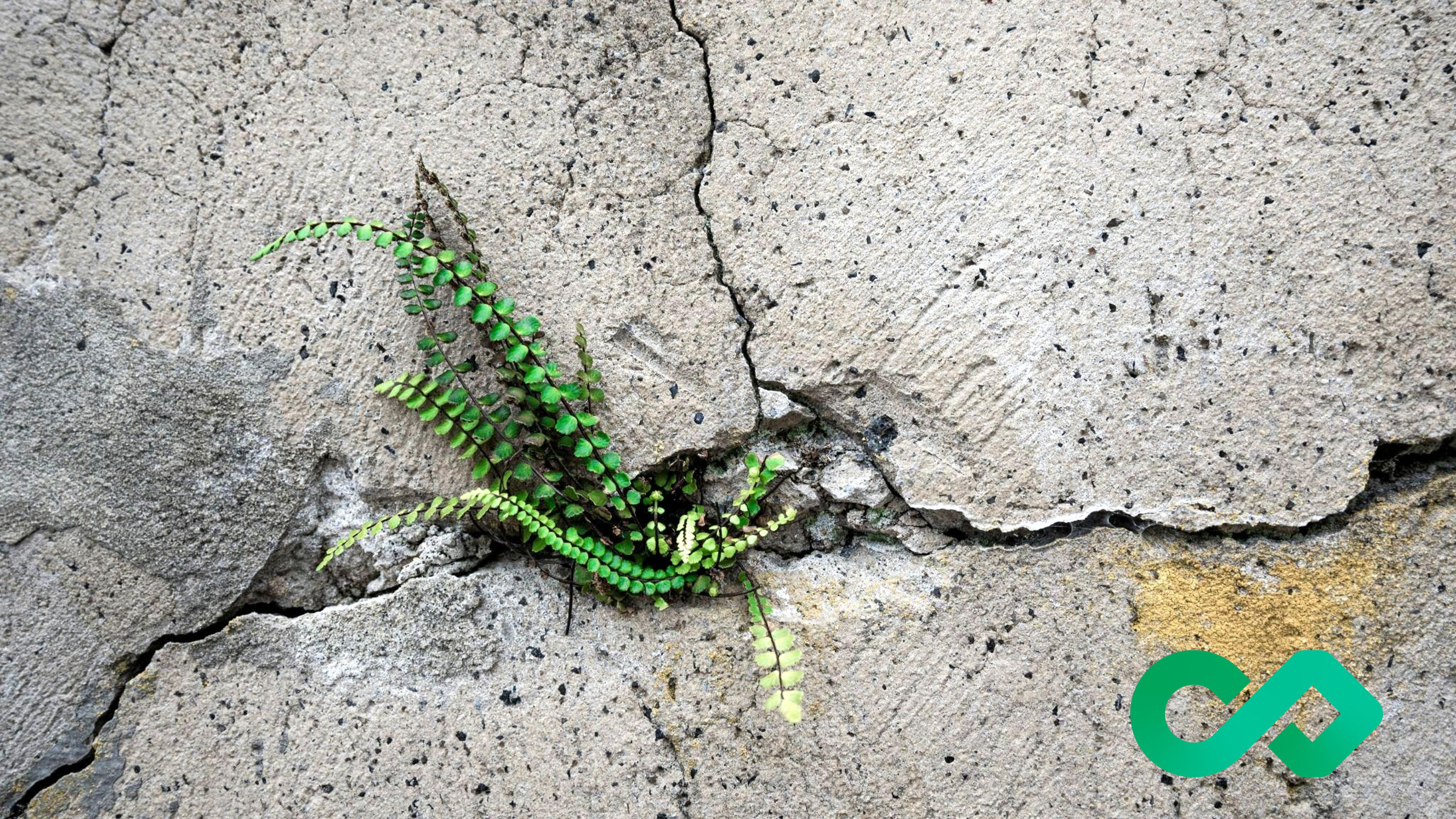 What Enterprises That Survive Their Own Success Do Differently