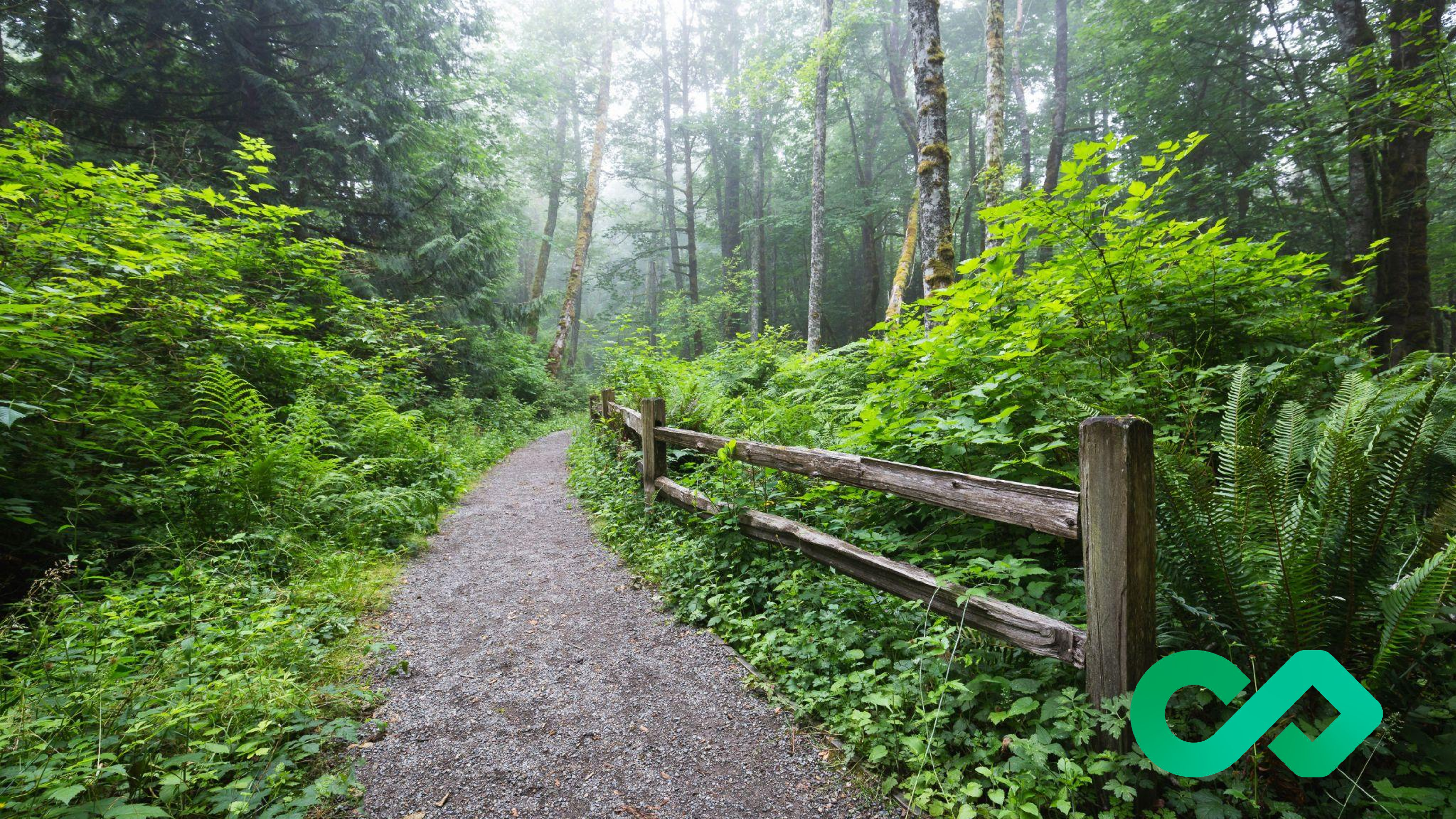 When the Journey Doesn't End Where the Software Does